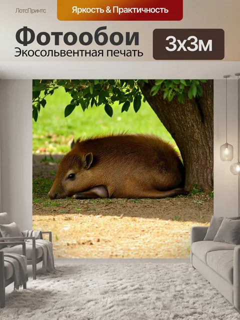 Фотообои капибара, мирно спящая под тенью дерева в жаркий день