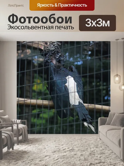 Фотообои клетка для птиц с серебристыми щеками