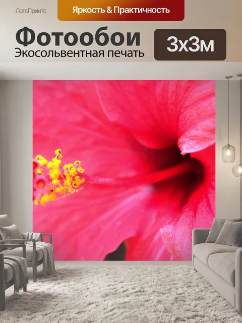 Фотообои Красный гибискус