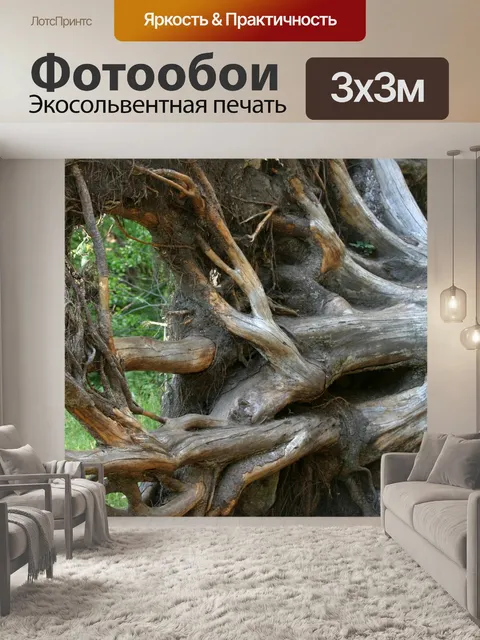 Фотообои Корень