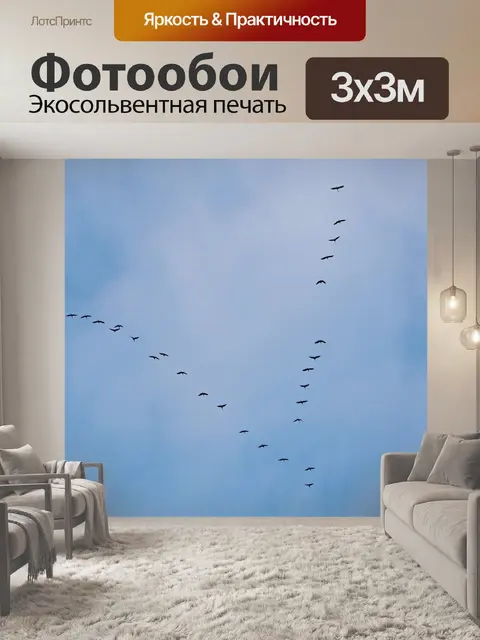Фотообои Птицы