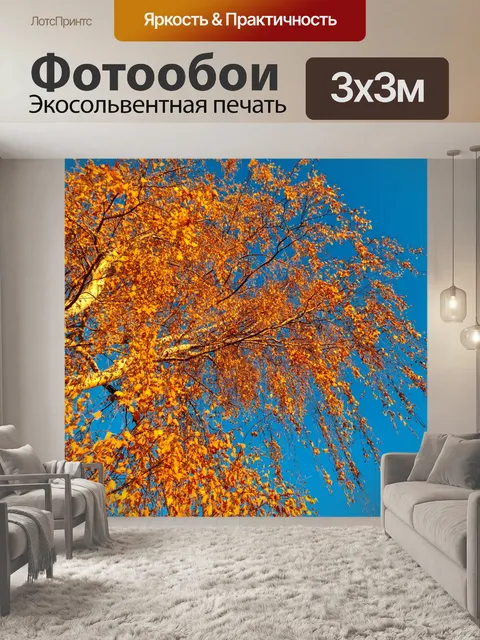 Фотообои Береза осенью