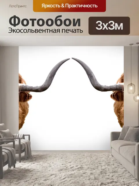 Фотообои Картина коровы Хайленд