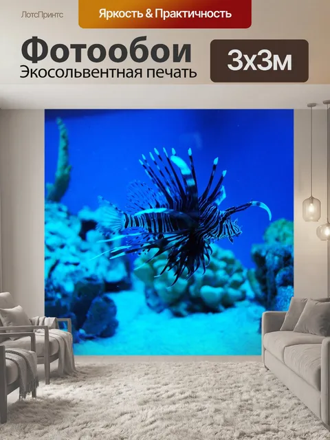 Фотообои Рыбы