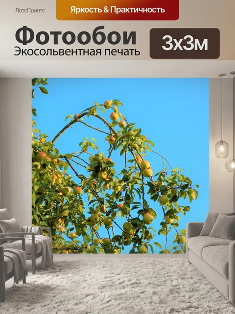 Фотообои Яблоко
