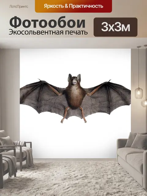 Фотообои Летучая мышь клипарт старинное искусство
