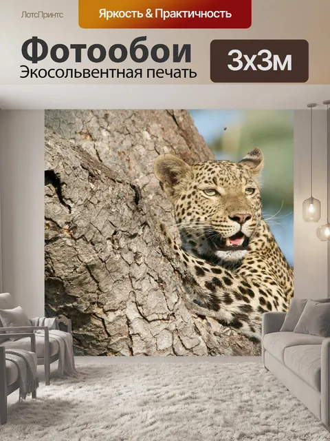 Фотообои Леопард