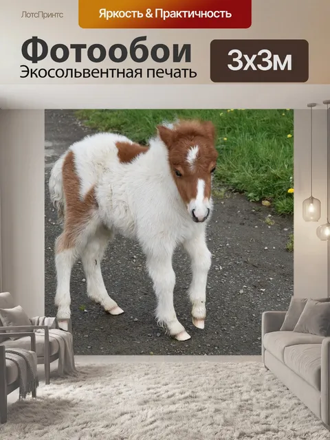 Фотообои Пони