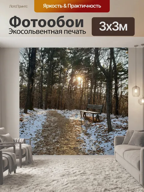Фотообои Лесная дорога