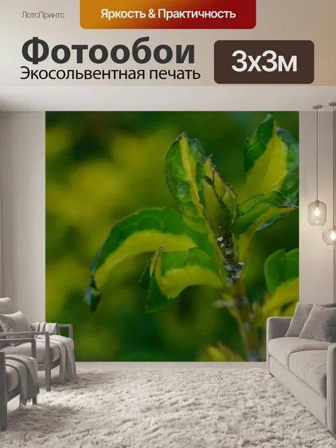 Фотообои Веточка