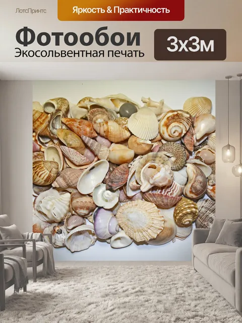 Фотообои коллекция морских раковин