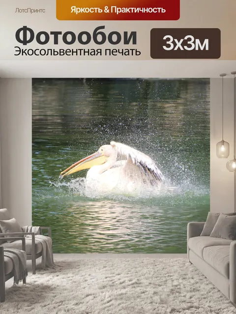Фотообои Пеликан