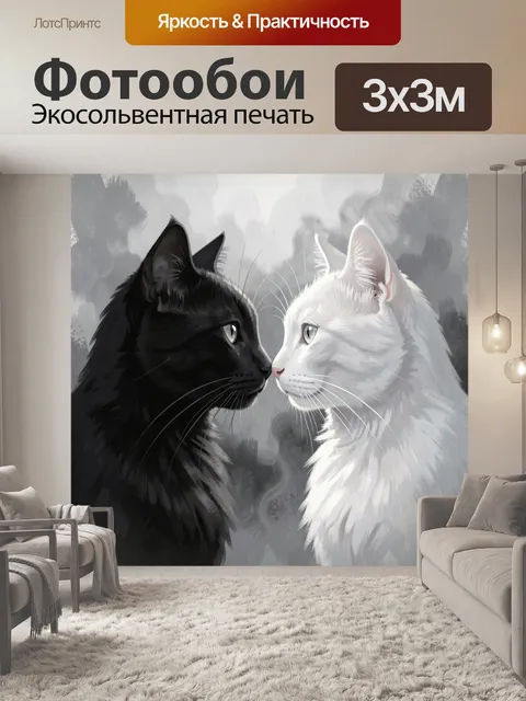 Фотообои Черный и белый коты