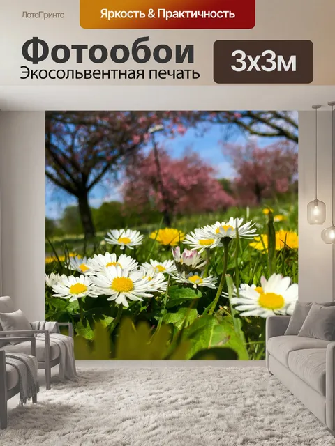 Фотообои Ромашки и одуванчики