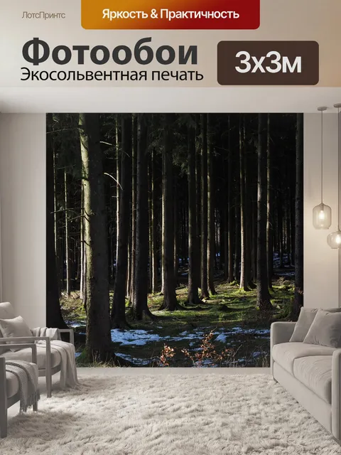 Фотообои Лес
