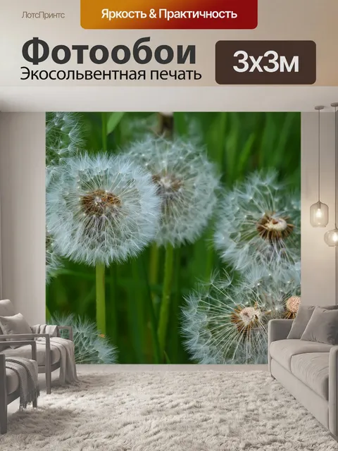 Фотообои Одуванчики