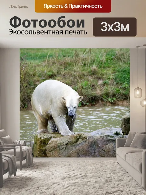 Фотообои Полярный медведь