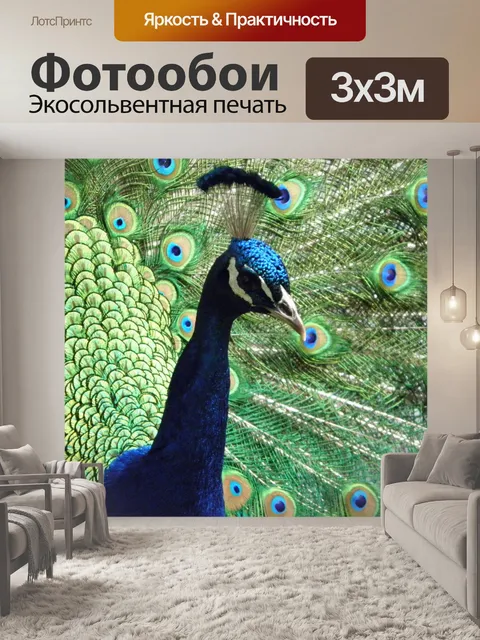 Фотообои Павлин