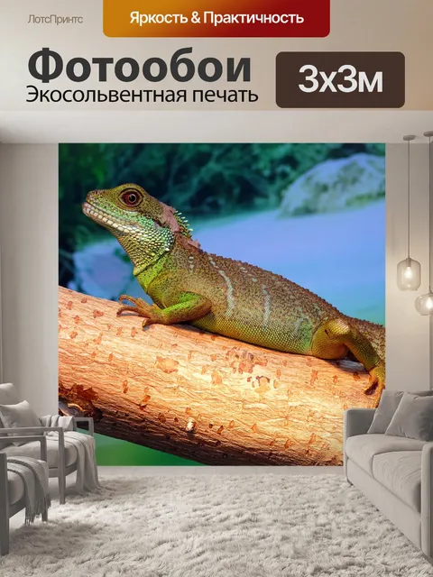 Фотообои Водный дракон
