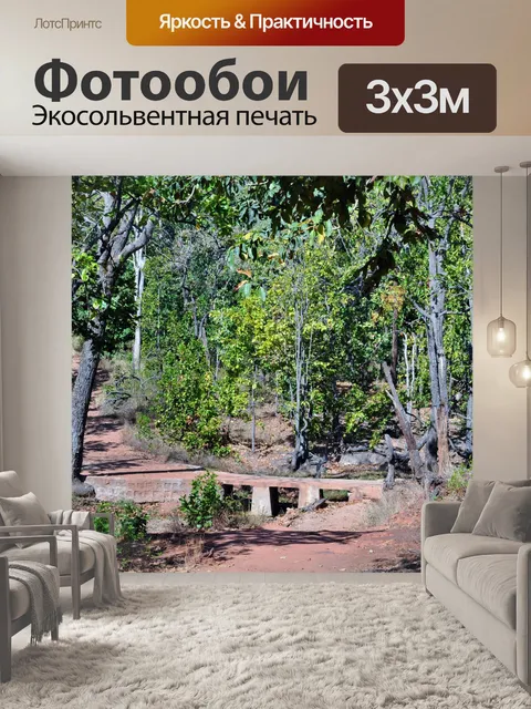 Фотообои Деревья и лес 3