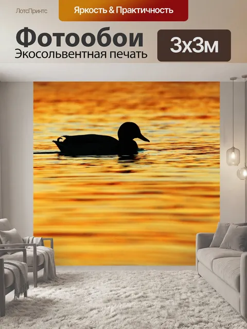 Фотообои Силуэт утка озеро закат
