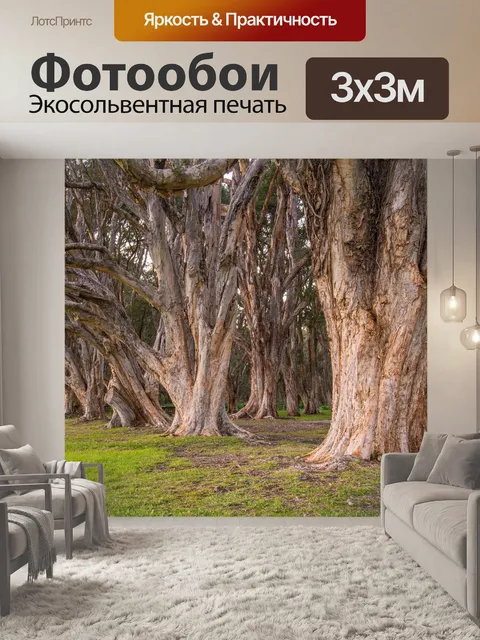 Фотообои Деревья