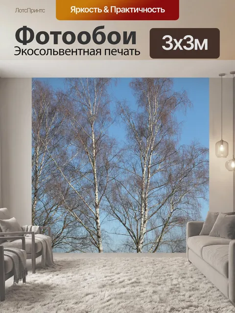 Фотообои Березы