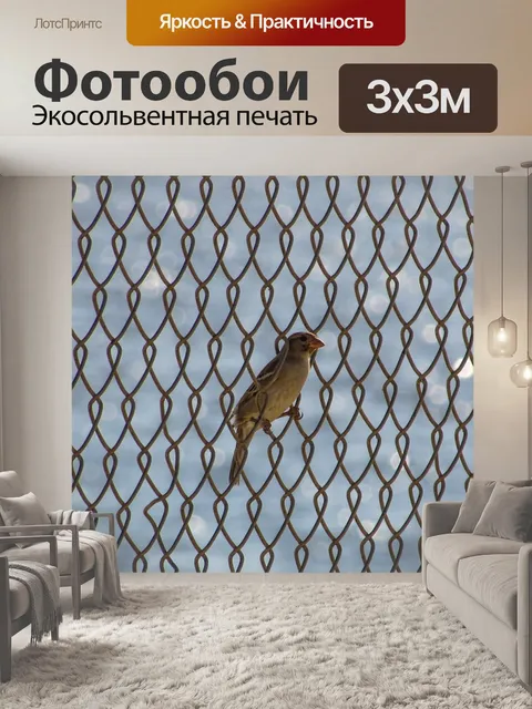 Фотообои Птица