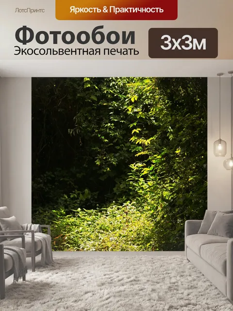 Фотообои густой рост в лесу Хаваан