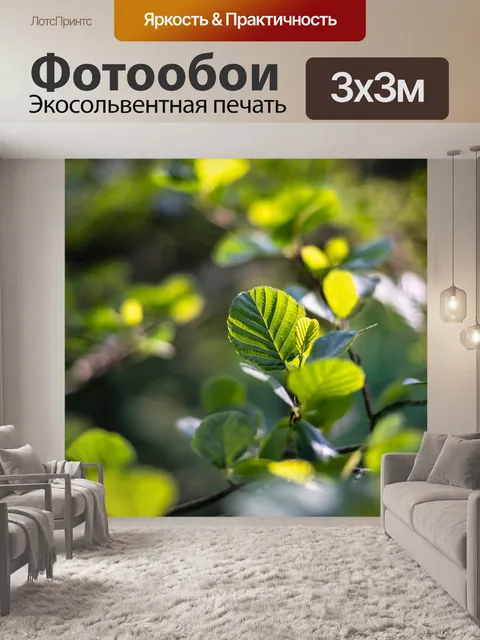 Фотообои Лист