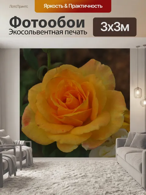 Фотообои Желтые розы