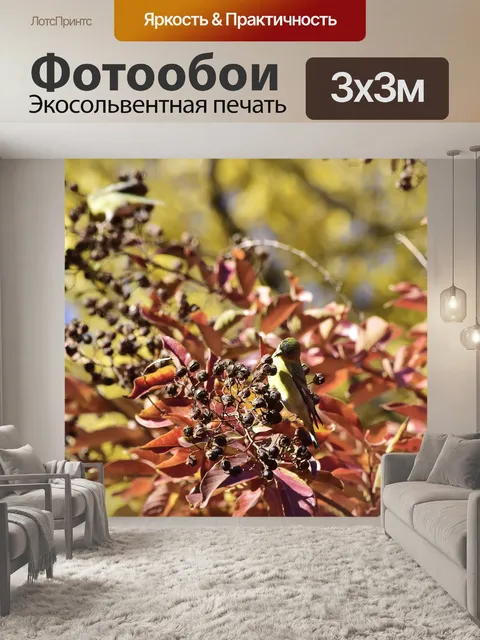 Фотообои Падение