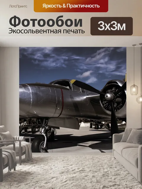 Фотообои A26 Invader