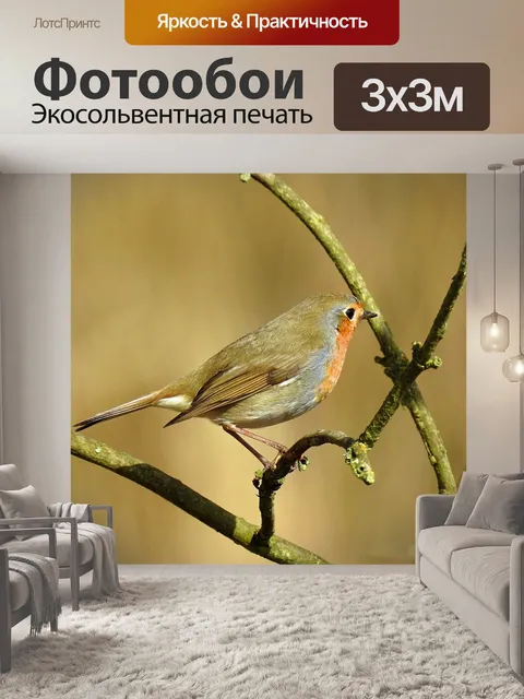 Фотообои Природа