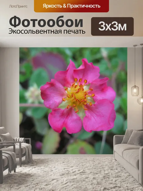 Фотообои Рось