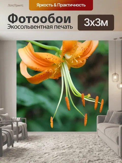 Фотообои Лили