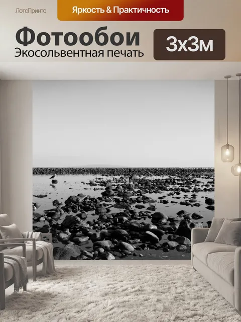 Фотообои Пляж камни и чайка