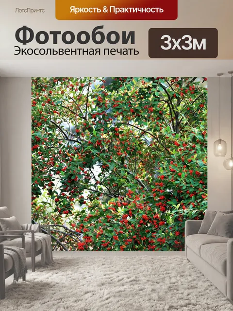 Фотообои красная ягода куст