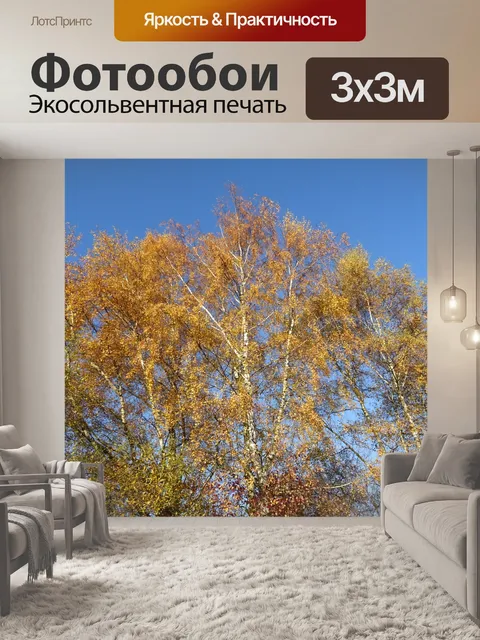 Фотообои Падение
