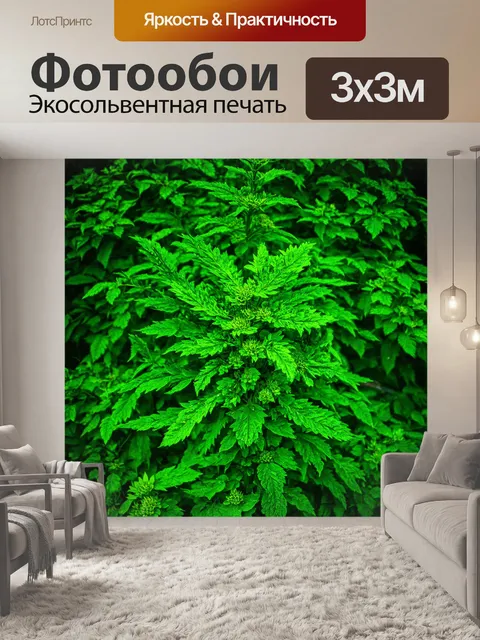 Фотообои зеленые в стиле раскраска, элементы старины и антиквариата