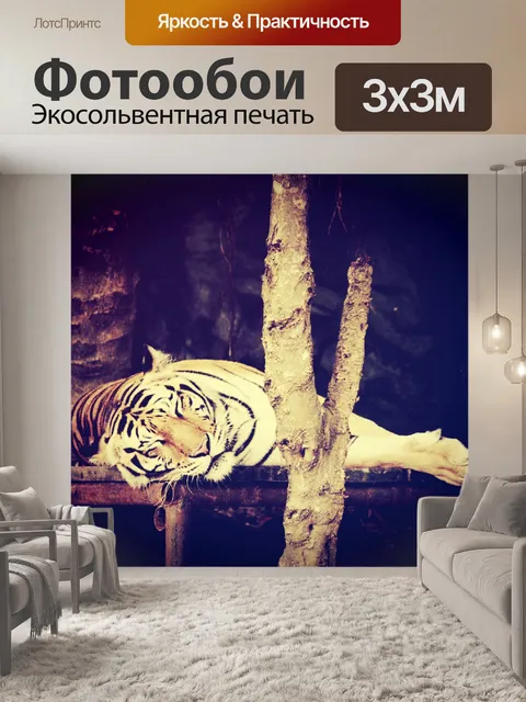 Фотообои тигр в зоопарке Таиланда