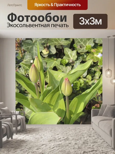 Фотообои Бутон