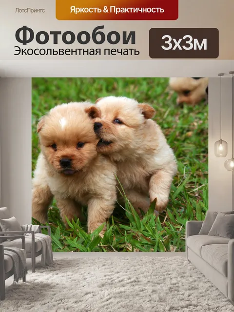 Фотообои Собаки