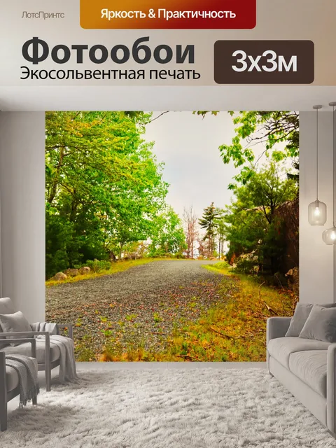 Фотообои Сельская дорога