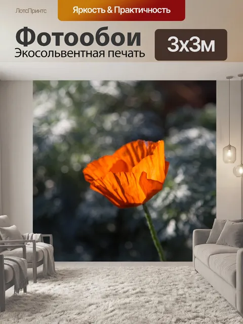 Фотообои Мак цветок