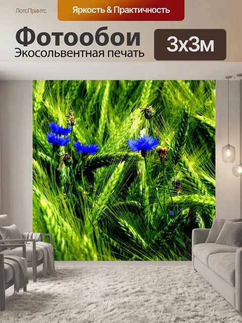 Фотообои Васильковый
