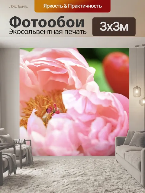 Фотообои Пион
