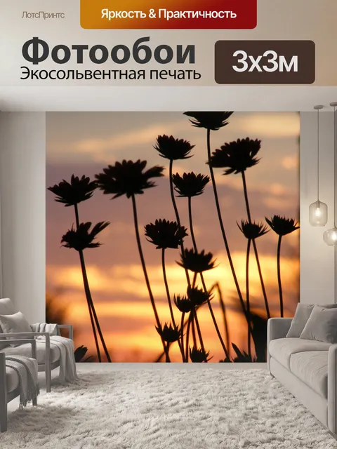 Фотообои Цветы на закате