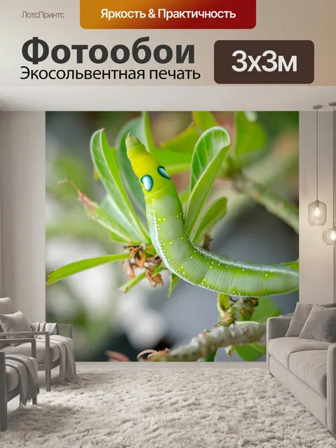 Фотообои Черви