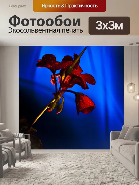 Фотообои Светопись